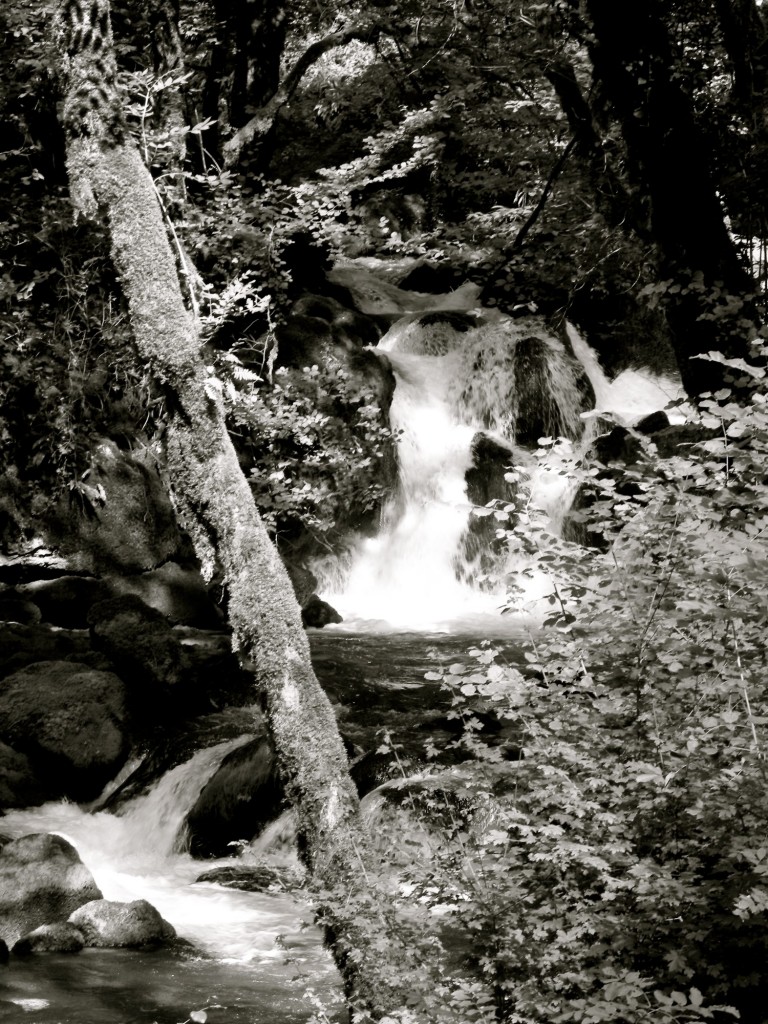 DSCN4046-2.jpeg